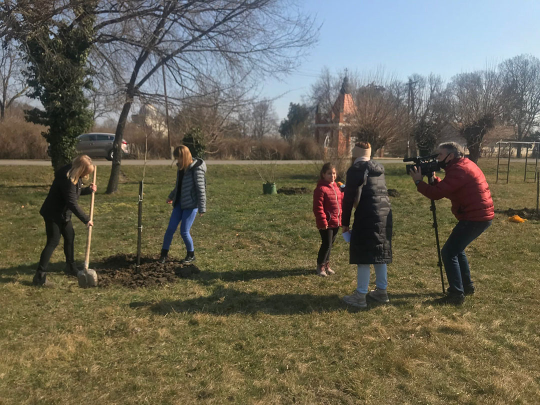 FAÜLTETÉSEK A SZARVASI ARBORÉTUMBAN (1)