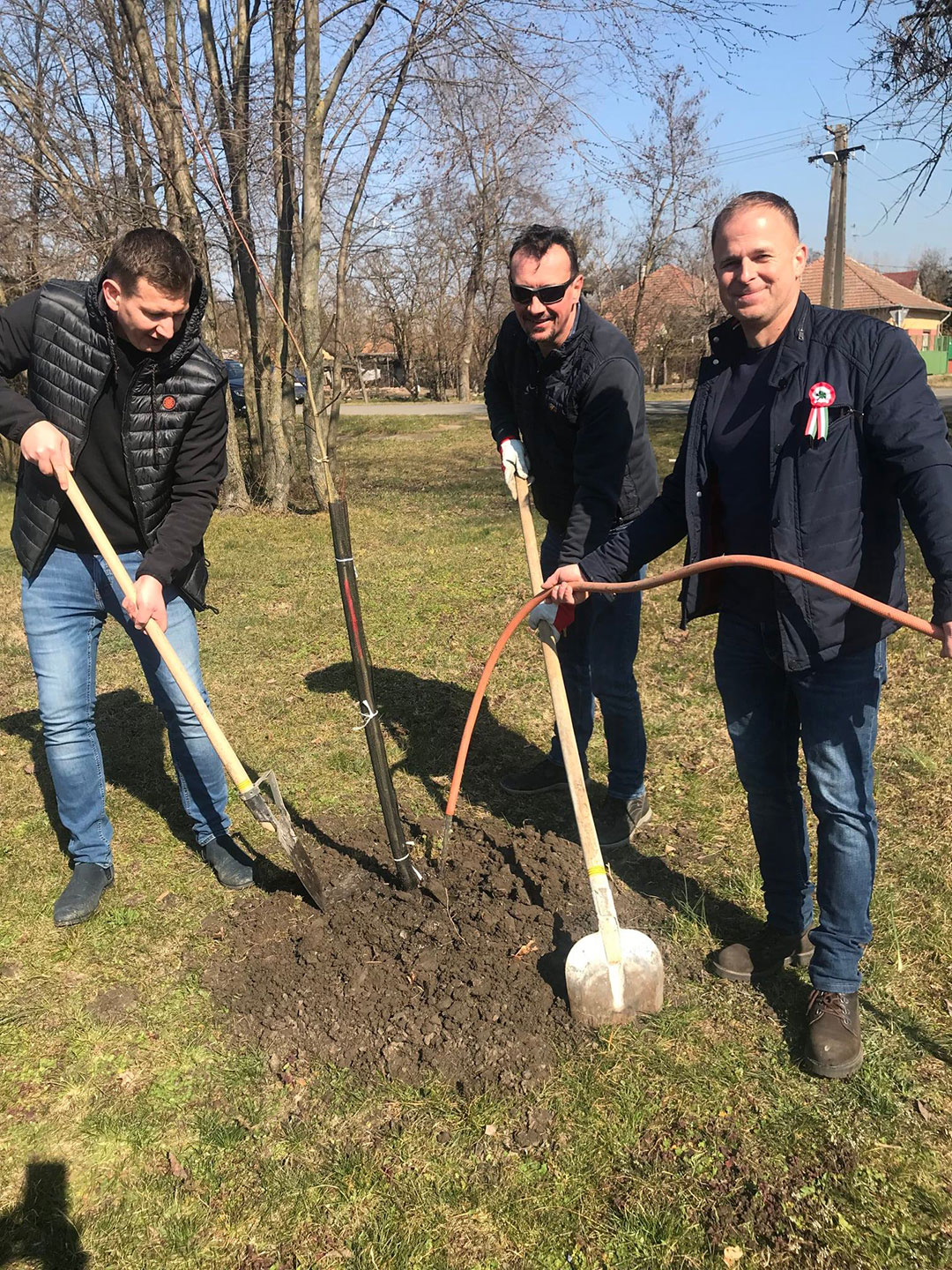 FAÜLTETÉSEK A SZARVASI ARBORÉTUMBAN (2)