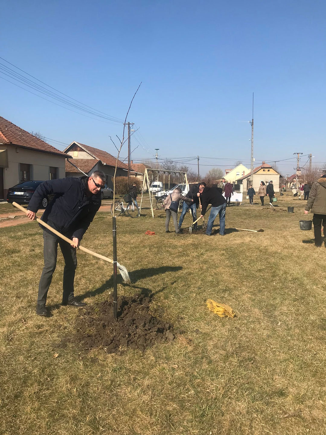 FAÜLTETÉSEK A SZARVASI ARBORÉTUMBAN (3)